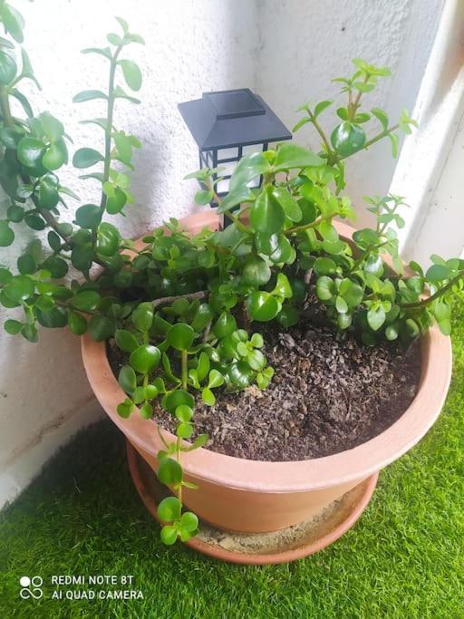 Apartment Etxalo, Con Terraza En Gorliz