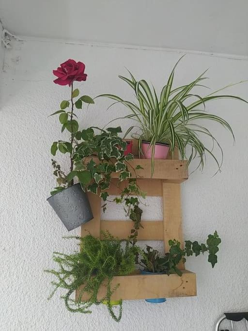 Etxalo, Con Terraza En Apartment